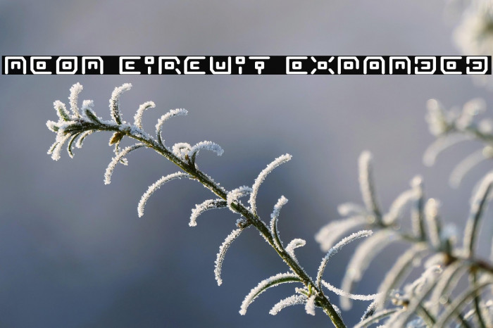 Neon Circuit Expanded Example 1