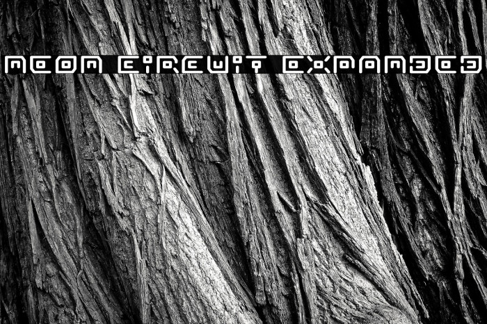 Neon Circuit Expanded Example 3