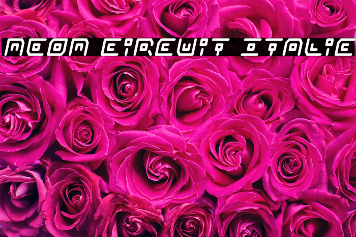 Neon Circuit Italic Example 3