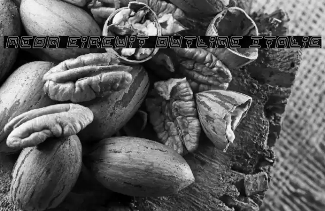 Neon Circuit Outline Italic Font examples