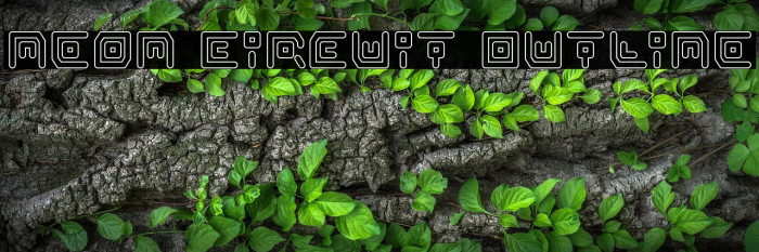 Neon Circuit Outline Example 3