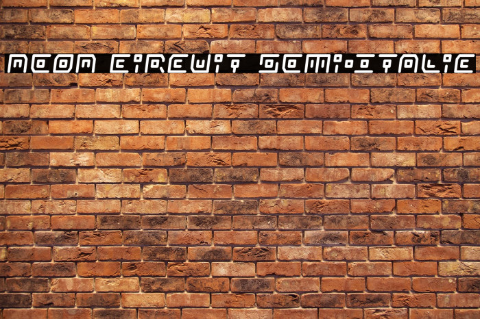 Neon Circuit Semi-Italic Example 1