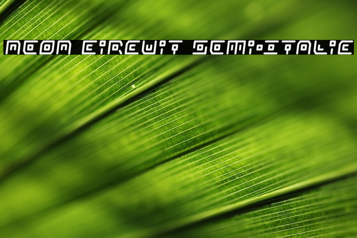 Neon Circuit Semi-Italic Example 2