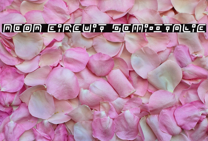 Neon Circuit Semi-Italic Example 3