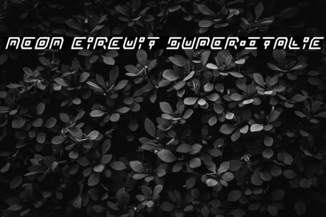 Neon Circuit Super-Italic Example 2