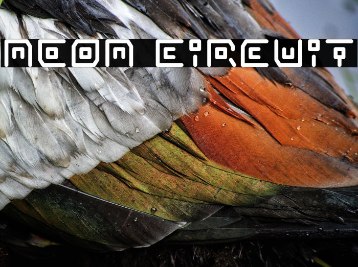 Neon Circuit Example 2