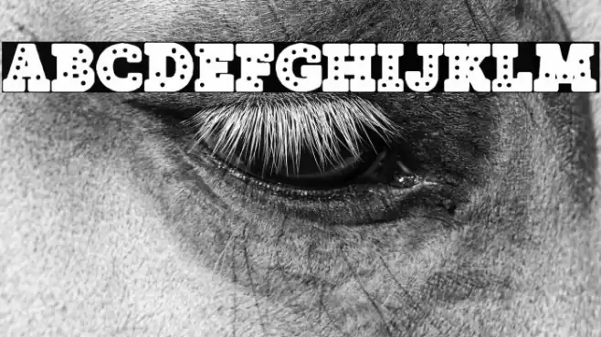 Neon Lights of Sin City Font examples