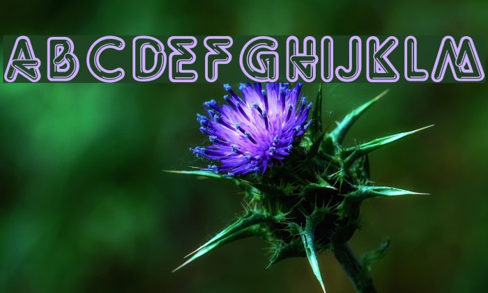 Neon Lights Font examples