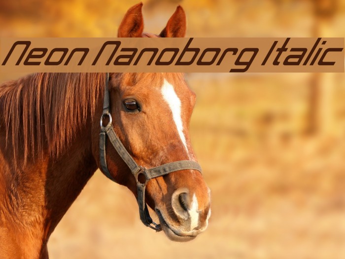 Neon Nanoborg Italic Font examples
