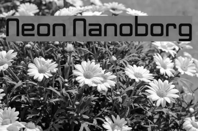 Neon Nanoborg Font examples