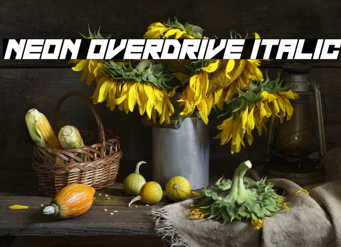 Neon Overdrive Italic Example 2