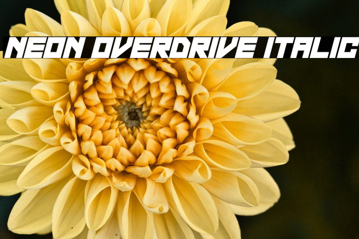 Neon Overdrive Italic Example 3