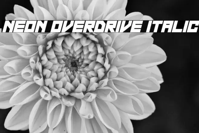 Neon Overdrive Italic Example 3