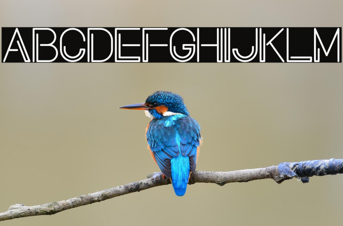 Neon Planet Display Example 3