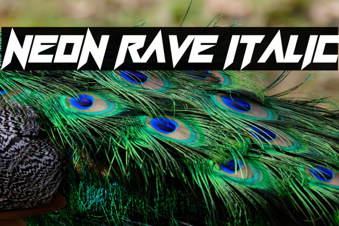 Neon Rave Italic Example 1