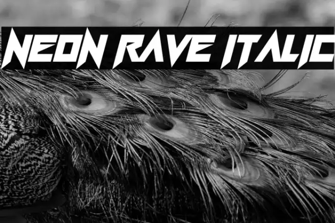 Neon Rave Italic Example 1