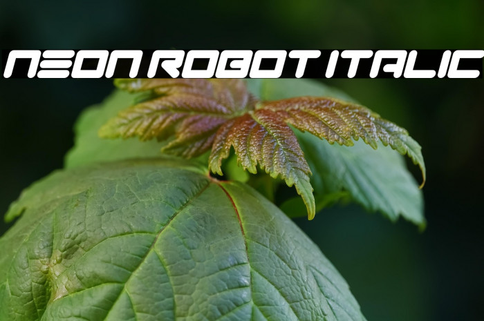 Neon Robot Italic Example 1