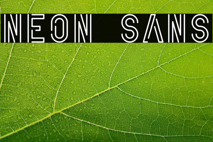 Neon Sans Example 1
