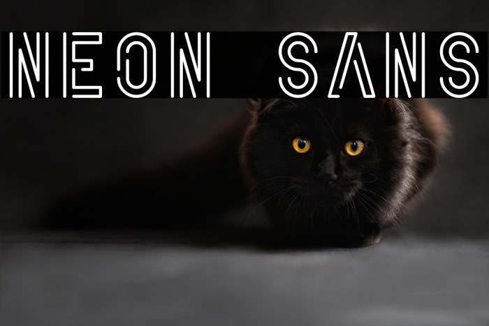 Neon Sans Example 2