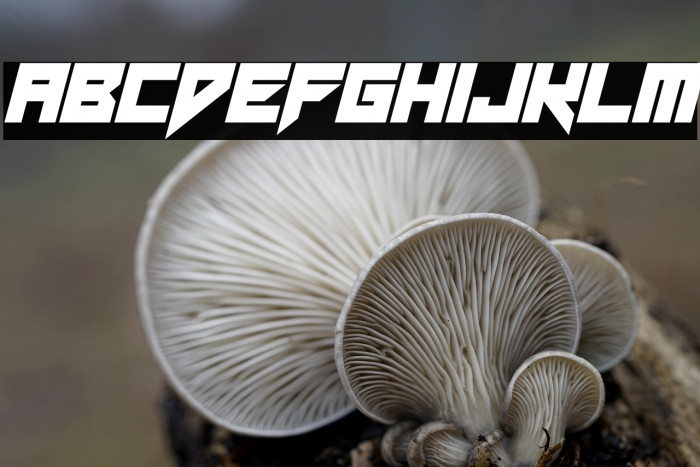 Neon Vampire Italic Example 2