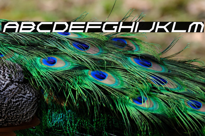 Neon Vortex Italic Example 3