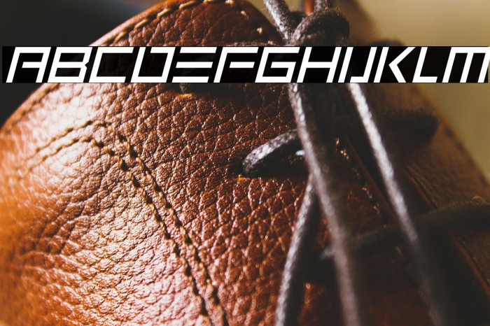 Neon Zone Italic Example 1