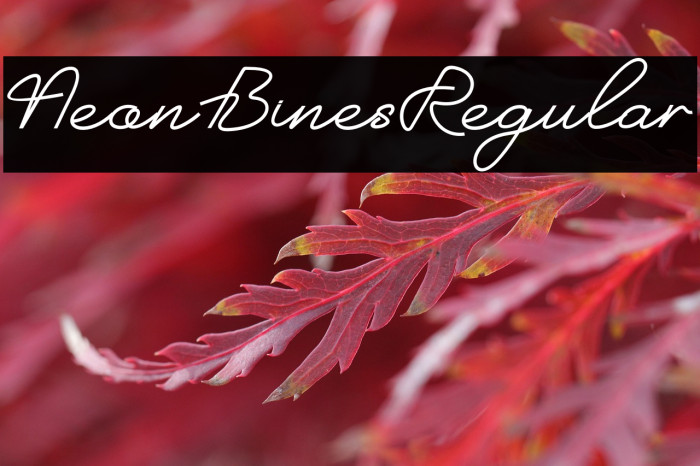NeonBinesRegular Example 2