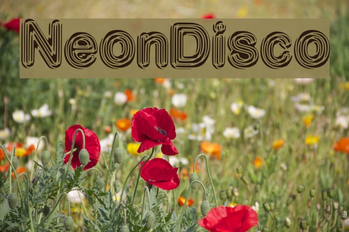 NeonDisco Font examples