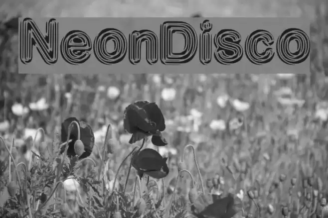 NeonDisco Font examples