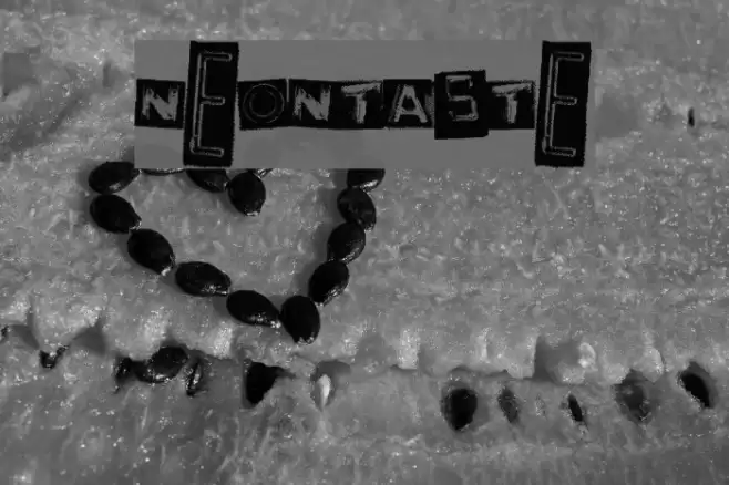 NeonTaste Font examples