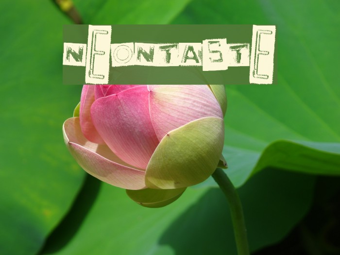 NeonTaste Font examples