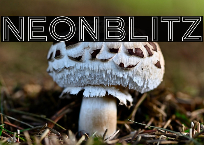 Neonblitz Example 1