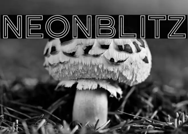 Neonblitz Font examples
