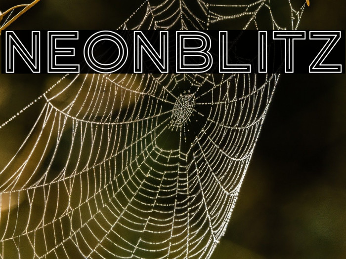 Neonblitz Example 3