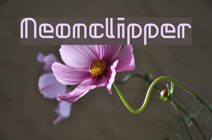 Neonclipper Font examples