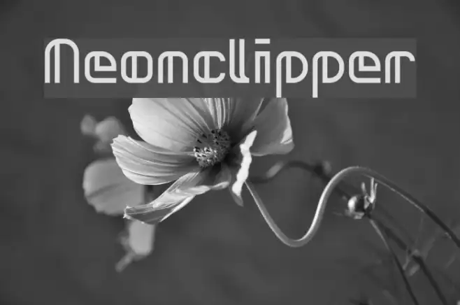 Neonclipper Example 1
