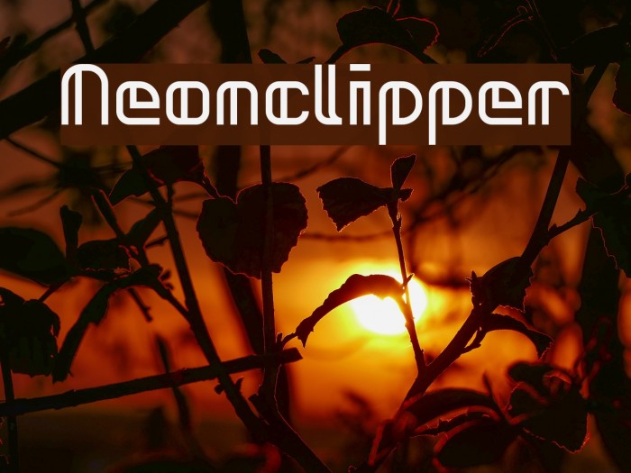 Neonclipper Font examples