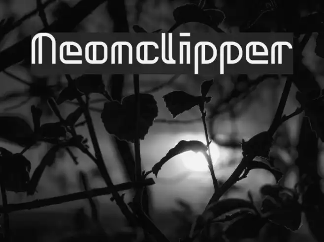 Neonclipper Example 2