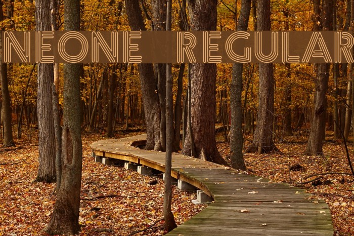 Neone Regular Font examples