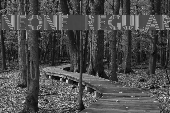 Neone Regular Example 2