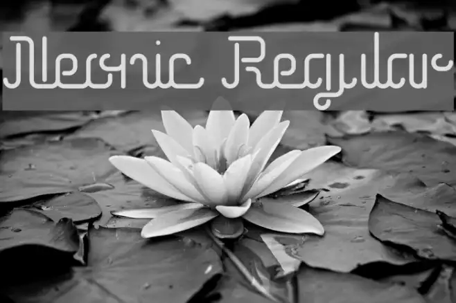 Neonic Regular Example 1