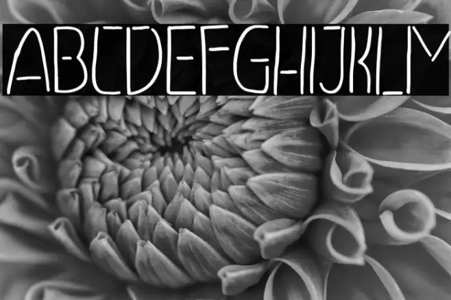 Neonidas Font examples