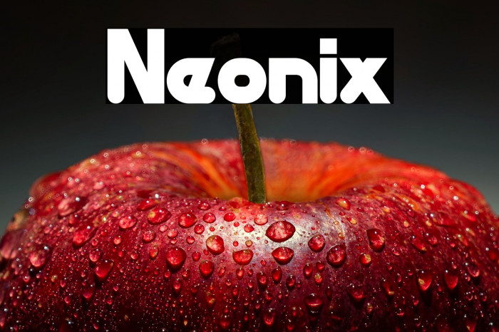 Neonix Example 3