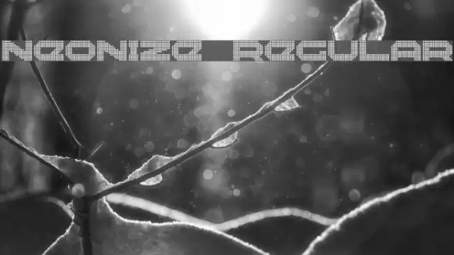 Neonize Regular Font examples