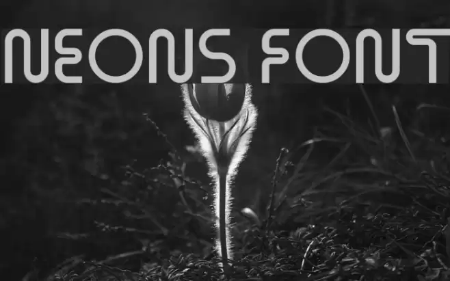 Neons Font examples