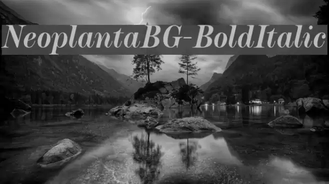 NeoplantaBG-BoldItalic Font examples