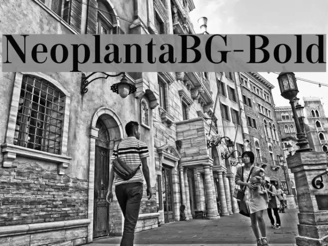 NeoplantaBG-Bold Font examples