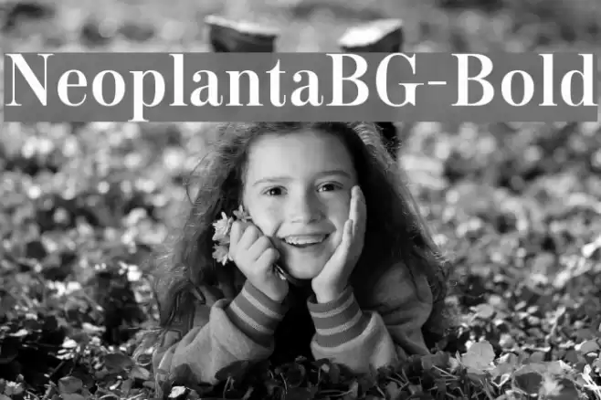 NeoplantaBG-Bold Font examples
