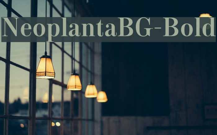 NeoplantaBG-Bold Font examples