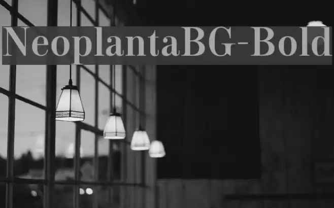 NeoplantaBG-Bold Font examples